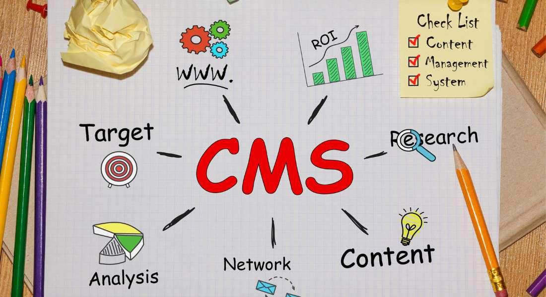 Drupal 10 and 11: Why It Stands Out From the CMS Competition